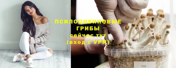 гидра Абинск