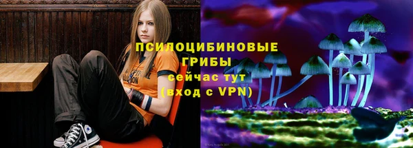 стафф Абаза
