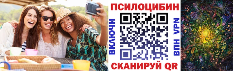 mega как войти  наркошоп  Белоусово  Галлюциногенные грибы Psilocybe 